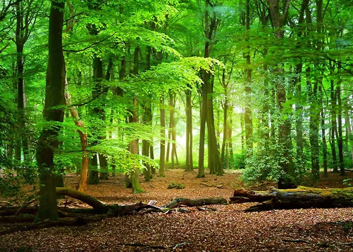 Szálloda Pti Eichwald Bad Wörishofen